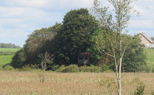 47_Pauksciu stebėjimo vieta (Pakastuvos).A.Brazd_.n.jpg